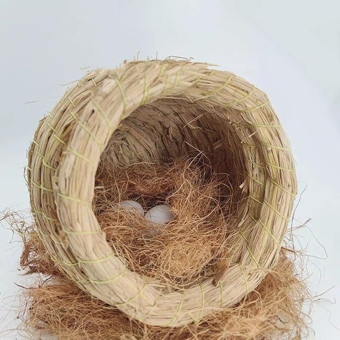 500g 17.64 Ounce Natural Coconut Husk Fiber Flowerpot Cover Insect-Proof Protect Garden Flower Plant Soil Keep Warm Reptile Bedding Bird Nest