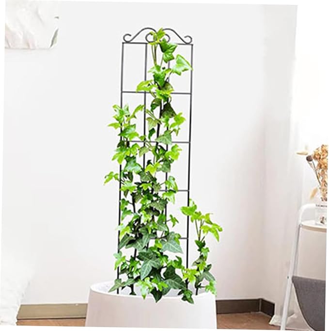 TEHAUX 4pcs Metal Climbing Plant Trellis Frame 50x15cm Black Vine Support for Garden and Potted Plants Climbing Cage for Indoor and Outdoor Gardening