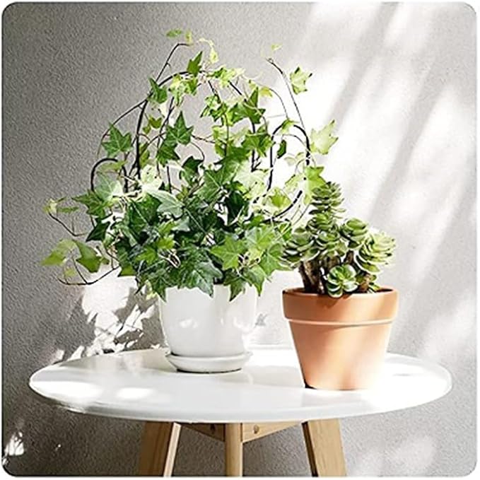 4 pcs 13 * 11.4in Trellis for Potted Plants Mini Garden Trellis for Climbing Plants Iron Trellis DIY Climbing Trellis