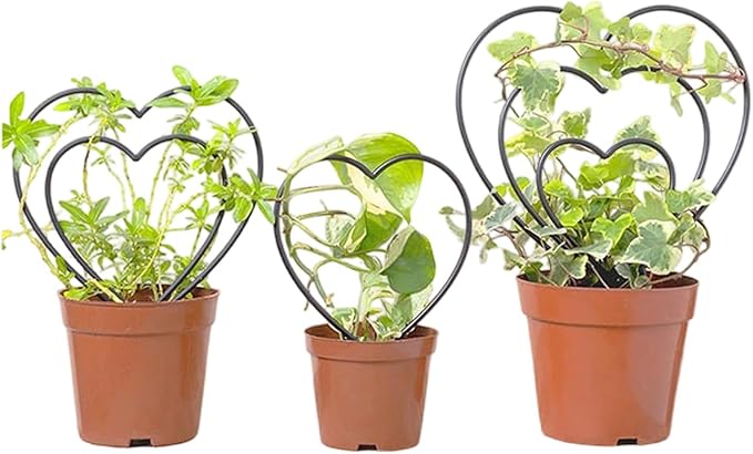 Plant Trellis Indoor - Metal Vine Support Decoration | Plant Trellis Outdoor - for Family Beginner Home Gardening Pairing Indoor House Wedding Vegetable