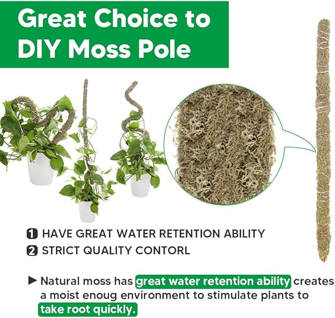 Natural Long Fiber Sphagnum Moss 1196QT for Orchid Potting Mix and Moss Pole for Plants Indoor. Ideal for Propagating Plants Maintaining Humidity for Reptiles Isopods in Paludarium (22 lb)