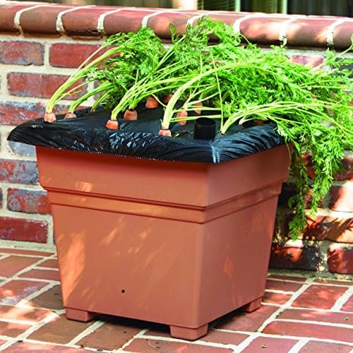 EarthBox 81755 Garden Kit White