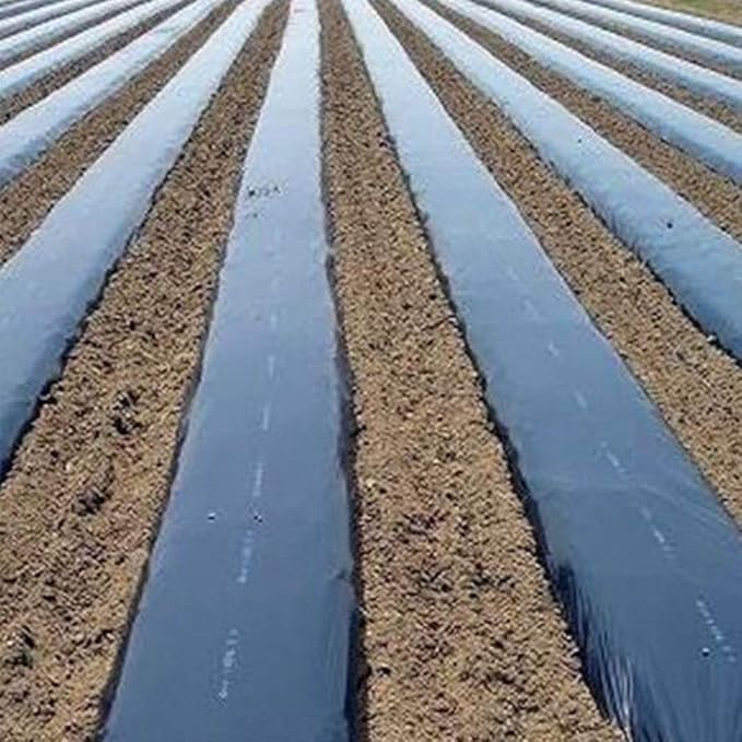 WGD Dimo 10m 0.008mm Mulch Film PE Black Plastic Mulch Garden Ground Cover Film Frost Protection Keep Warm Weed Control 1pcs (Size : 1.5M Width)