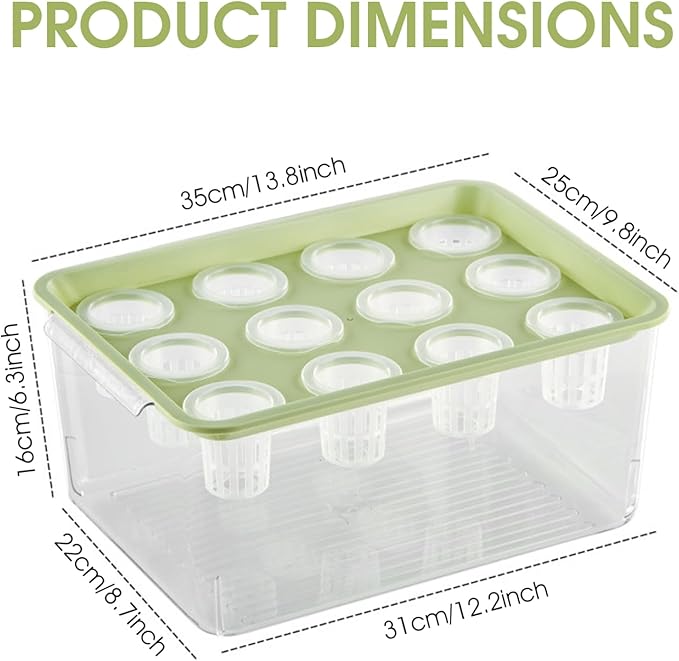 Hydroponic Planter Box 12-Hole Transparent Aquaponics Growing System with Green Lid for Home Balcony or Desktop Decor