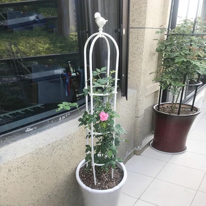 Metal Obelisk Trellis Garden Trellis for Climbing Outdoor Plants Tower 21x120cm 25x190cm 31x160cm 35x150cm Birdcage Shape Tomato Cage Easy Assembly
