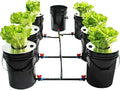 DWC Hydroponic System 5 Gallon 7 Buckets Hydroponic Bucket Kit Hydroponics Grow System Kit with Air Pump &amp Air Stones for Indoor or Outdoor