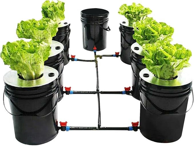 DWC Hydroponic System 5 Gallon 7 Buckets Hydroponic Bucket Kit Hydroponics Grow System Kit with Air Pump &amp Air Stones for Indoor or Outdoor