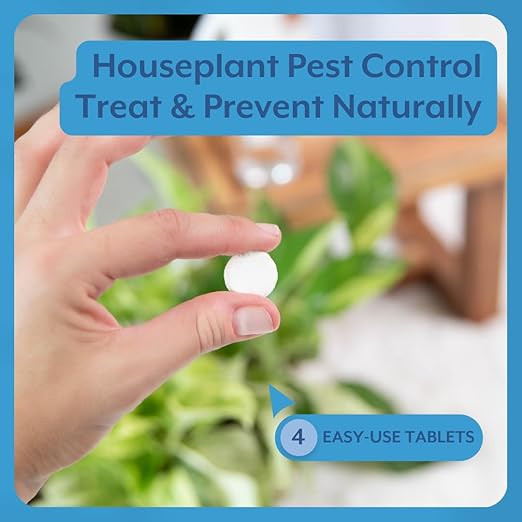 Instant Indoor Plant Care Bundle - Plant Food + Soil ProBiotics + Natural Pest Control Spray Tablets - for HOUSEPLANTS