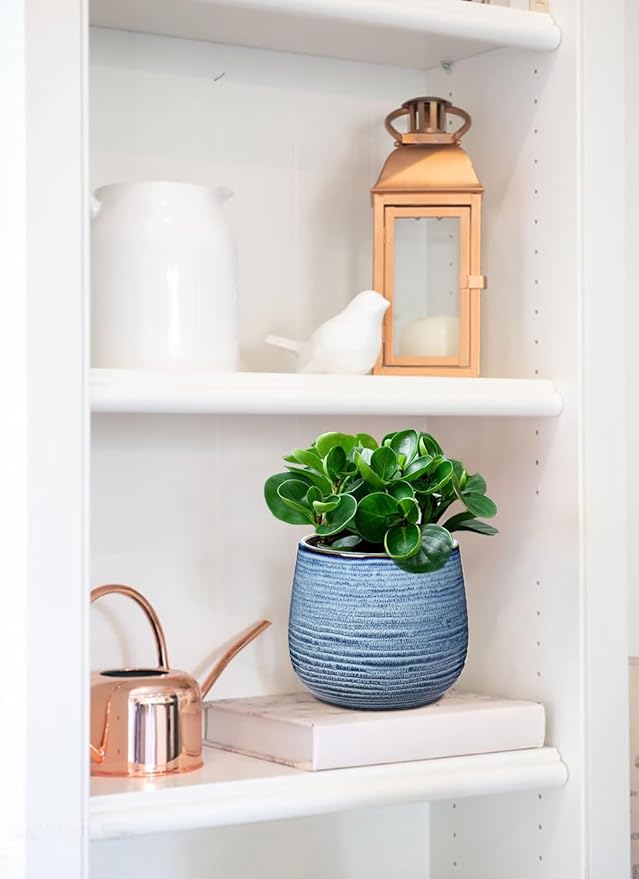 Ceramic Plant Pots 6 Inch Set of 2 Flower Plants Pot with Drainage Holes Blue Planter Garden Pot for Succulent Cactus Home Decoration Gift Indoor Outdoor