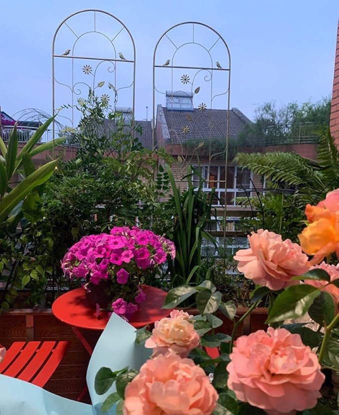 Upgraded Metal Garden Trellis for Climbing Plants Outdoor Plant Trellis Frame for Potted Plants Plant Support Screen Trellis for Flowers Vine Vegetable Indoor Outdoor(Color:GreenSize:210*50cm/82.7*