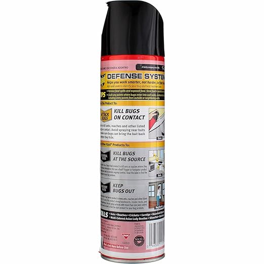 Raid Ant &amp Roach Killer Aerosol Fragrance Free 17.5 oz. Pack of 4