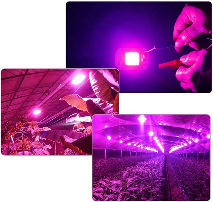 Indoor Lighting Pack of 20 LED Plant Grow Light Chips AC110V 20W/30W/50W Full Spectrum Plant Light(20W)