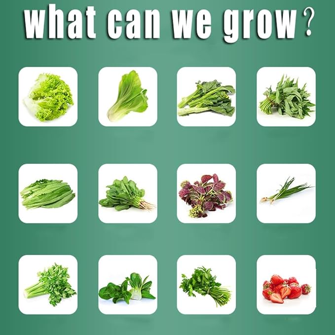 Hydroponics Growing SystemAquaponics | PVC-U Pipe | for Home Kitchen Windowsill | for Herbs Fruits &amp Vegetables | White GYL24824