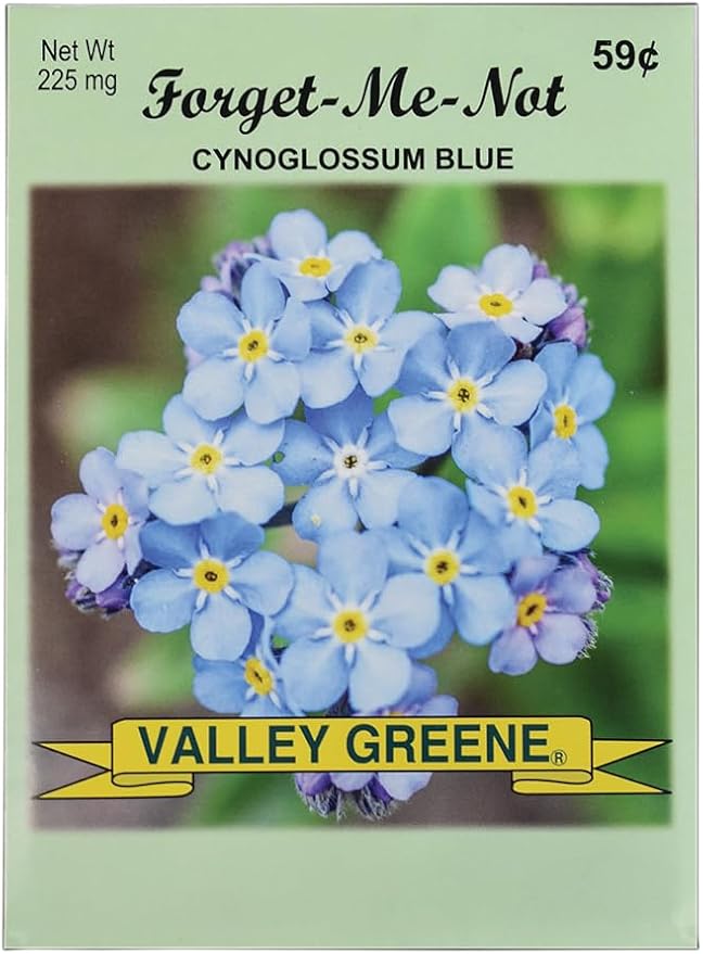Set of 100 Forget Me Not Flower Seed Packets! Flower Seeds in Bulk - Forget Me Nots