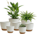 LIFFY Plant Pots 87.576.565.55 Inch Plastic Self Watering Planters with Drainage Holes &amp Saucers 7-Pack White Nursery Planting Pot with Deep Reservoir for Indoor Outdoor Plants