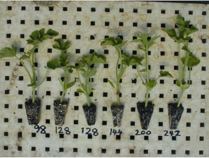 144 Cell Seed Starting Tray (5 Pack) – 10×20 Propagation Tray Gardening Home Growing Reusable Nursery Grow Tray for Transplanting Seedlings Vegetables &amp Flower Starts