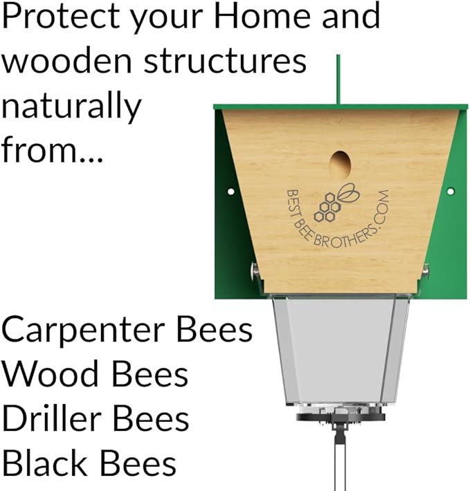 Best Bee Brothers Ultimate Pro Carpenter Bee Trap 2 Traps in 1 High-Capacity External Receptacle &amp Internal Bee Vault 2-Pack Black
