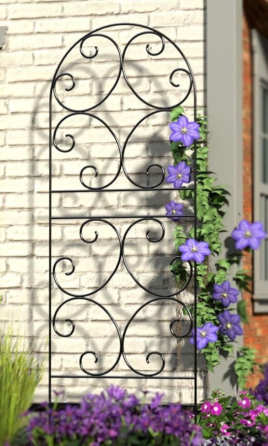 BestNest Panacea 84401 Scroll Trellises – Pack of 2 Arched Metal Garden Trellis Panels 72 H x 24 W – Black Powder-Coated Steel Plant Supports for Climbing Flowers Vines &amp Outdoor Decorative Us