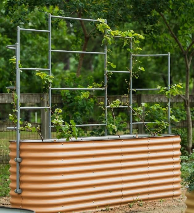 Vego Garden Modular Wall Trellis System Triple Section 3.5' Long for 3.5' Round Garden Beds (Garden Beds Not Included)