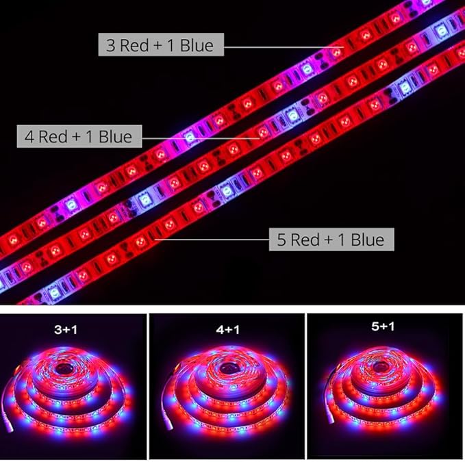 Fengyan Landscape Lights 4 Sets 5m LED Plant Grow Light Strip 12V 5050 Plant Light Strip Full Spectrum Plant Light Red:Blue 3:1 4:1 5:1 LED Street Lamp (Color : 3 red :1 Blue Size : 5M IP20)