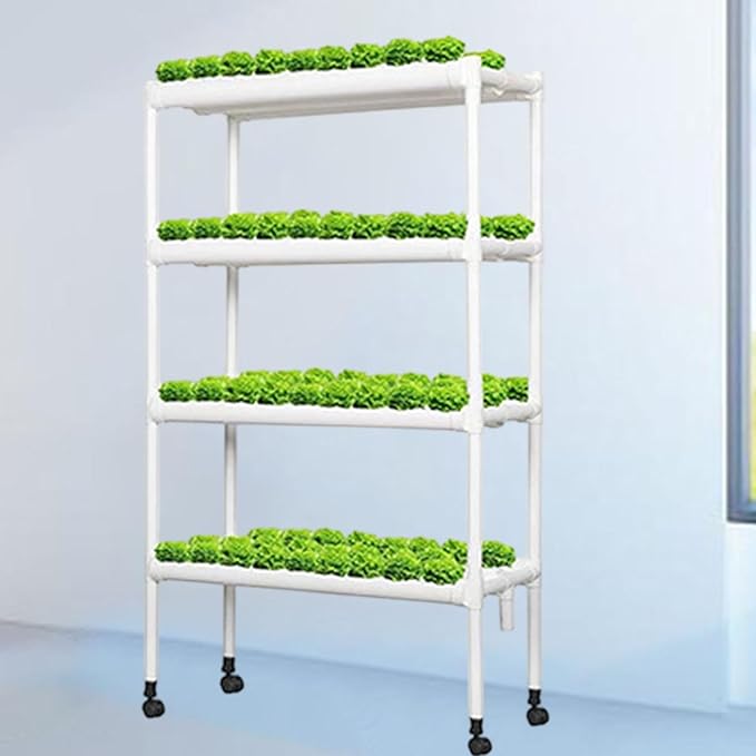 Hydroponic Grow Kit Garden Planting with Casters Home Hydroponics Growing System for Leafy Vegetables Basil Rosemary Sage