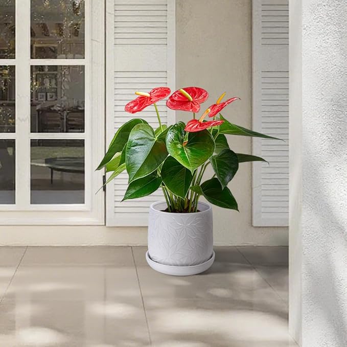 Handmade White Glossy Ceramic Planter Set of 2 6 8 Diameter Leaf Pattern Design for Succulents and Herbs IndoorOutdoor Shelf Table Use Breathable Clay with Saucers