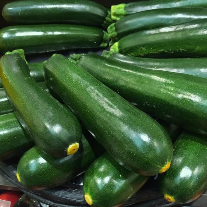 Set 2 Squash Plants Live for Planting Green Zucchini Plants Live for Planting Vegetable Plant 4 Inches Pot