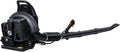 Backpack Leaf Blower 63CC 665 CFM 3HP 2-Stroke Engine Gas Leaf Blower High Strength Gas Powered Snow Blower Dust Blower for Outdoor from USA Fast Arrival (EB650-Black)