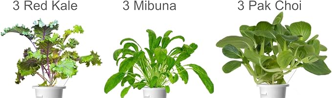 Click and Grow Smart Garden Asian Cuisine Plant Pod Mix 9-Pack
