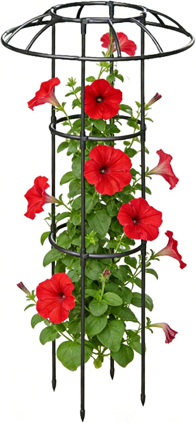 Garden Umbrella TrellisVertical Decorative Climbing Plants SupportOutdoor Flower Support Cage | for Vine Rose Clematis Vegetable Dragon Fruit Cucumber Hydrangeas Jasmine