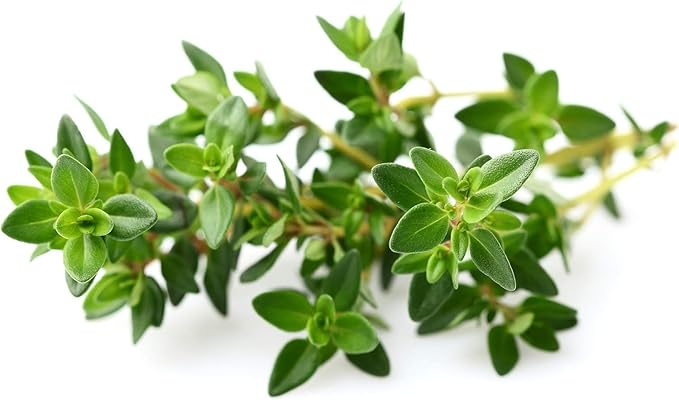 Click and Grow Smart Garden Thyme Plant Pods 9-Pack
