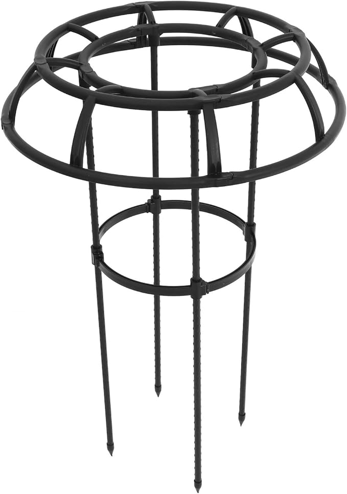Metal Garden Trellis for Climbing Plants and Potted Plants Outdoor Indoor with Iron Frame for Vine Shaping