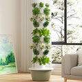 Hydroponic Growing System Aeroponic Hydroponic Tower Hydroponic Germination Kit Indoor Vertical Tower System Kit for Green Vegetables and Fruits20 Holes