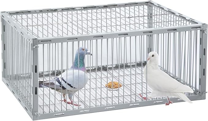 Pigeon Trap with Escape-Proof DesignPigeon Cage with One-Way EntryIdeal Pigeons CoopChicken and Bird Trap CagePortable &amp Easy AssemblyUnharmful Made of High-Strength Iron with Anti-Rust Paint