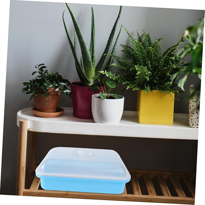 POPETPOP 2sets Seed Sprouter Tray Lid Microgreens Growing Trays for Garden Starter
