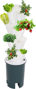 20-Plants Vertical Hydroponics Tower System Growing System Vertical Garden Planter with Pump &amp Water Tank Hydroponic Mechanism for Home Kitchen Balcony - White