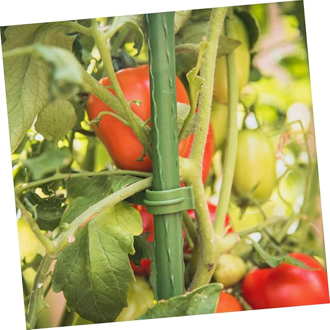 40pcs Garden Plant Climbing Support Racks Trellis for Vines and Vegetables Sturdy Material for Indoor and Outdoor Use