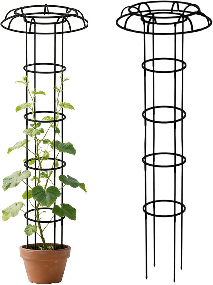 Vertical Garden Trellis All Weather Climbing Frame 6 Foot Umbrella Shape Trellis with Sturdy Base Outdoor Plant Support Vine with Decorative Style Climbing Plant Accessory for Balcony