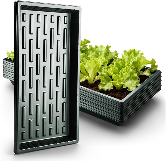 10 Pack Heavy Duty 1020 Trays No Holes - 1.6 Inch Deep Shallow Nursery Flats Reusable Seed Starter Trays for 72/128 Cell Inserts Microgreens Seedling and Hydroponics (Dark Green)