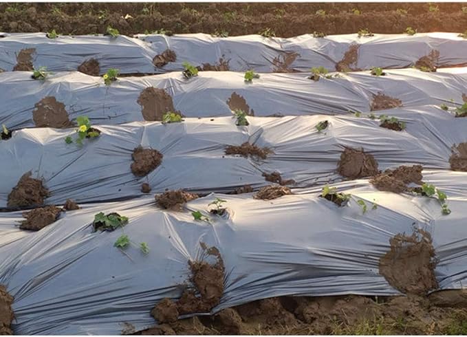1Pcs 10m Silver Black Plastic Planting Film 0.012mm Thick Agriculture Ground Cover Film Protection Greenhouse Keep Warm Weed Control Mulch Film (Size : 1.5M Width)