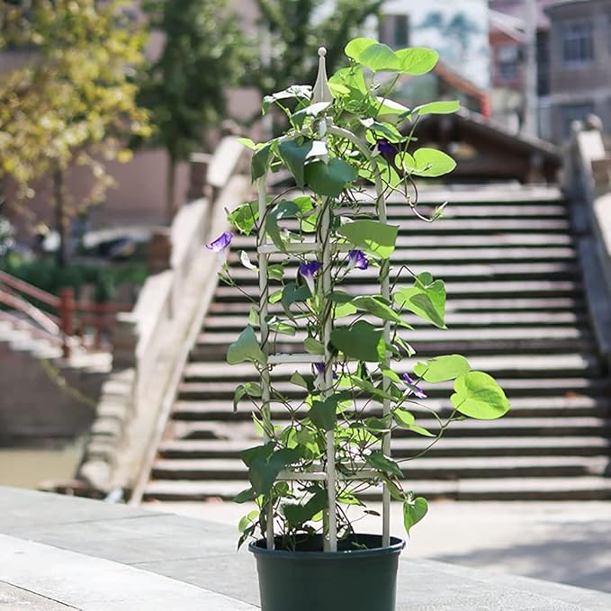 Garden Obelisk Trellis for Climbing Plants Outdoor 47.32429.535.5 H Metal Trellis with Anti-Rust Coated Garden Trellis for Potted Climbing Flowers Vegetable Vine Indoor Outdoor ( Size : 10/25cm