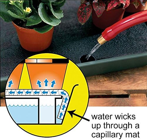 Garland Self Watering Windowsill Plant Tray