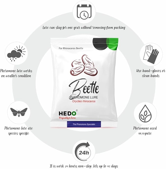 HEDO Beetle Lure Pack of 10| Pheromone Lure for Rhinoceros Beetle (oryctes Rhinoceros) for Coconut &amp Palm Tree