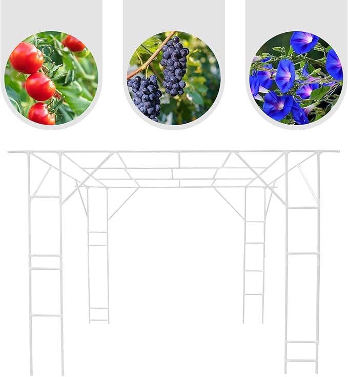 Plant Climbing Stand 9.8x6.6x7.5ft Large Outdoor Plant Trellis for Climbing Plants Heavy Duty Steel Garden Arch with Anti-Slip Feet for Tomatoes Cucumbers Flowers (White)