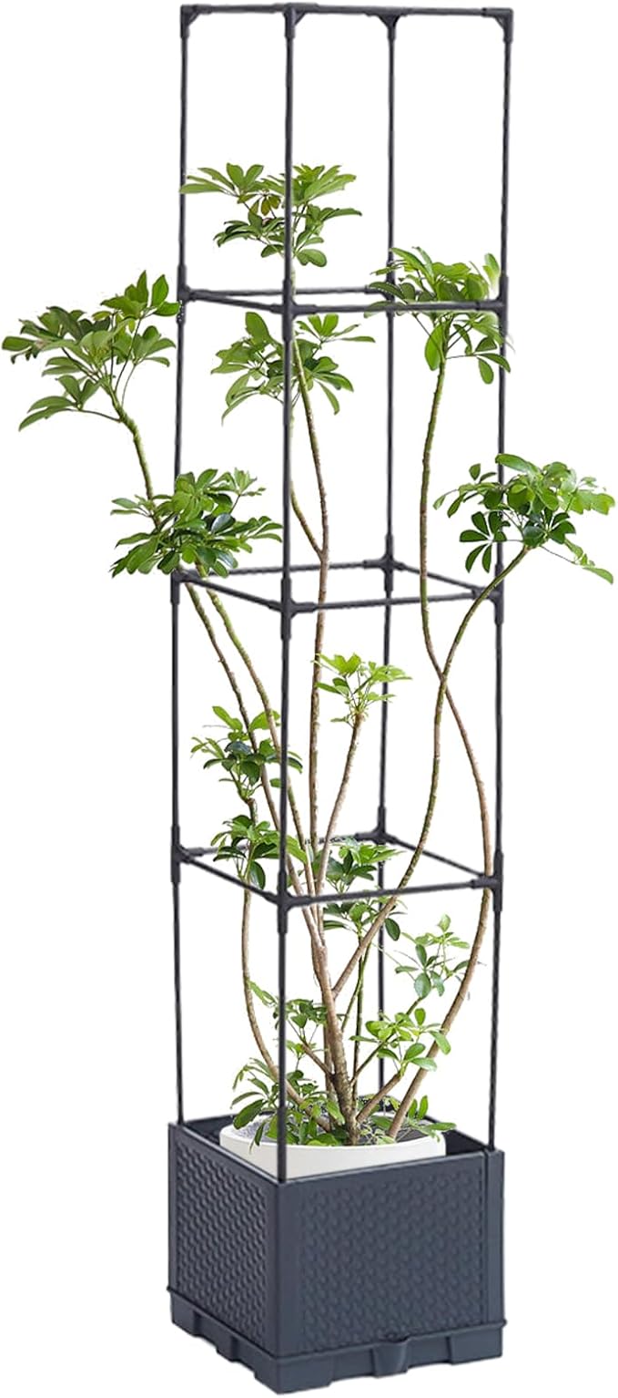 Planter with Trellis - with Trellis Vertical Support Pots - Outdoor Vine Flower Garden Planterfor Tomato Cucumber Pea Grape Vines Vegetable Flower Fruit Potted Indoor
