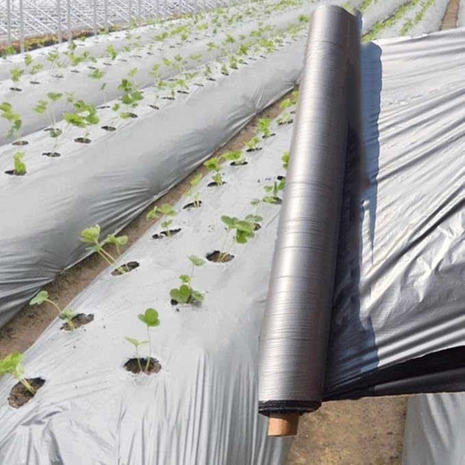 300m²/Roll 0.012mm Silvery Black Reflective Plastic Mulch Film for Agricultral Orchard Tee Double Color Planting Film Plant Covers (Size : Width 0.6m (L 500m))