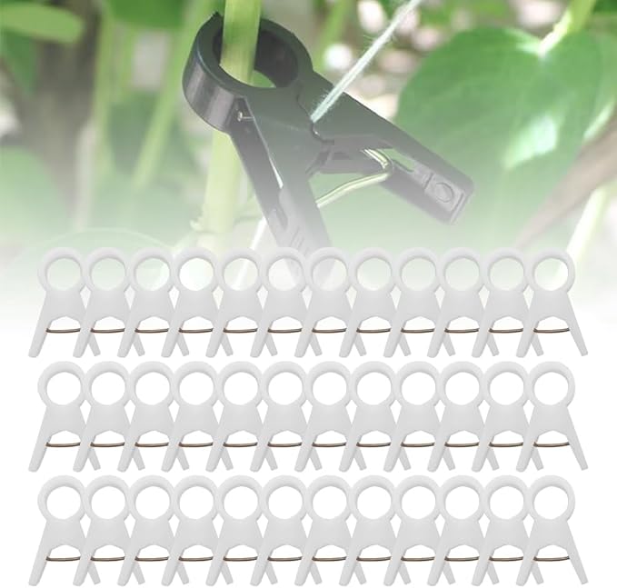 Plant Support Clips Secured Plastic Plant Clips Reusable Garden Trellis Clips for Climbing Plants Outdoors Tomato Grape Vine Vegetables Plant Support Fixing Clips (100 clear-1.8cm/0.7in)