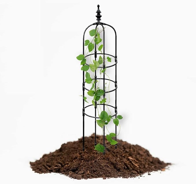 Tower Garden Trellis Obelisk Plant Support Plastic Coated for Outdoor Indoor Potted Plants Tomato Rose5ft Tall Rose Garden Trellis Black 1pc