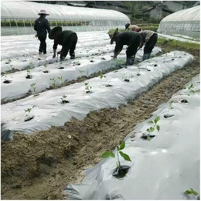 300m²/Roll 0.012mm Silvery Black Reflective Plastic Mulch Film for Agricultral Orchard Tee Double Color Planting Film Plant Covers (Size : Width 0.8m (L 375m))