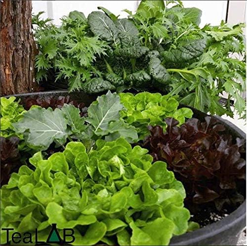 Bokashi BioChar Blend : BioKash i: 5 Gallon Bucket